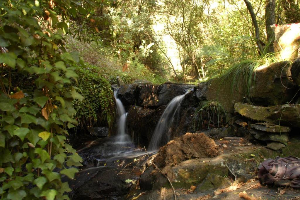 Hotel Rota Malhoa Figueiro Dos Vinhos Exteriér fotografie